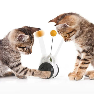 Juguete Rolling Ball interactivo para gatos - Gatufy