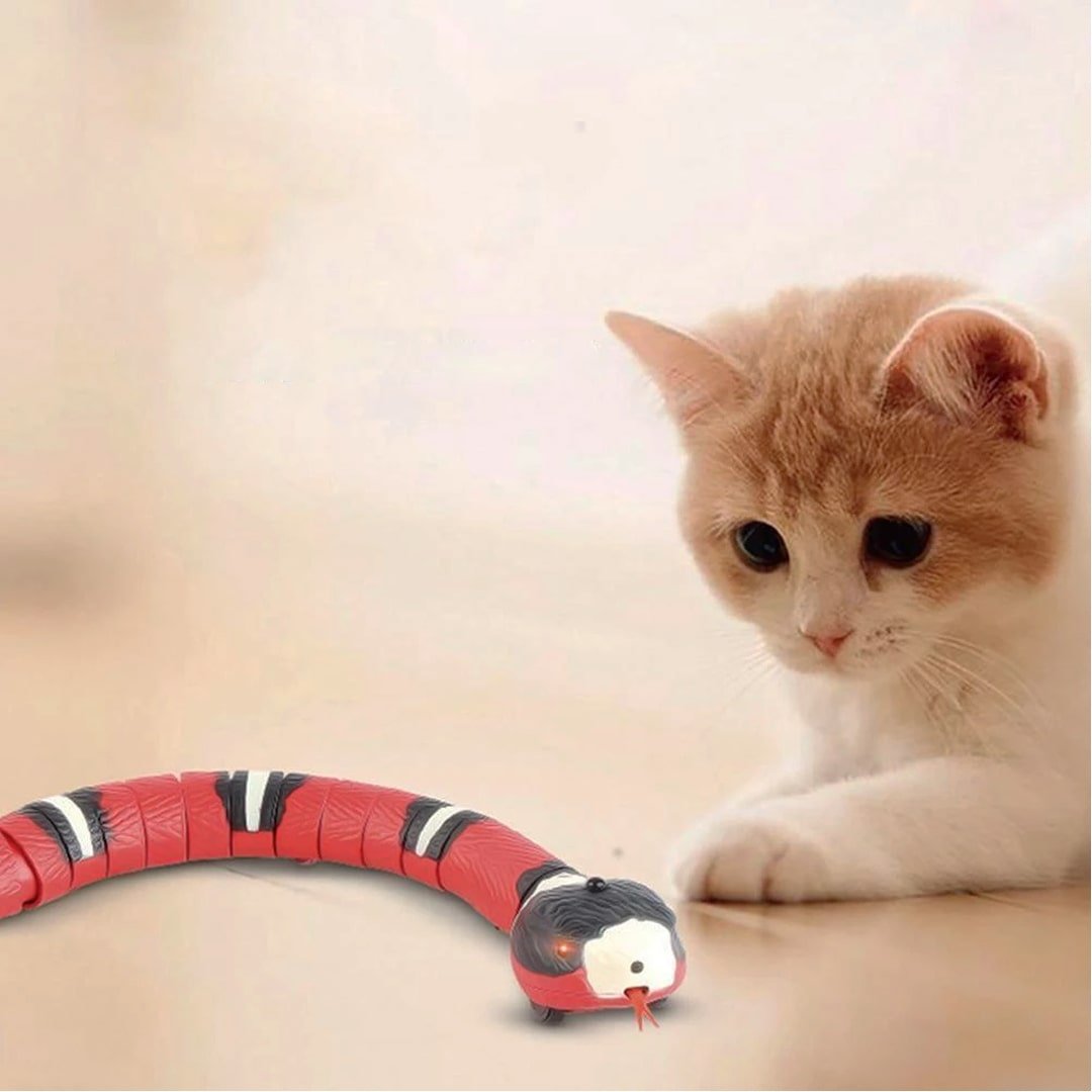 FANFX Juguete de serpiente naja con control remoto, juguete eléctrico de  serpiente para niños, juguete de serpiente rc para gatos, recargable