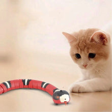 Cargar imagen en el visor de la galería, Juguete serpiente Shake para gatos - Gatufy
