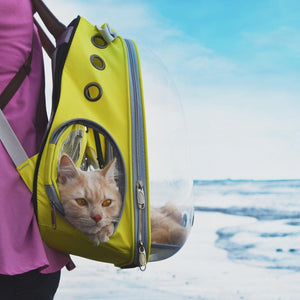 Mochila de viaje transparente Asteroid para gatos - Gatufy