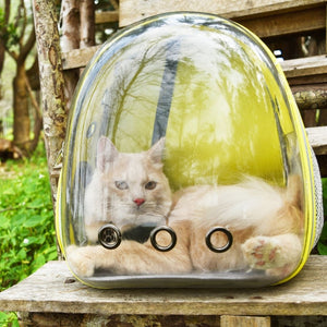 Mochila de viaje transparente Asteroid para gatos - Gatufy