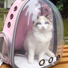 Cargar imagen en el visor de la galería, Mochila de viaje transparente Asteroid para gatos - Gatufy

