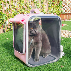 Mochila viajera porta gatos Confort - Gatufy