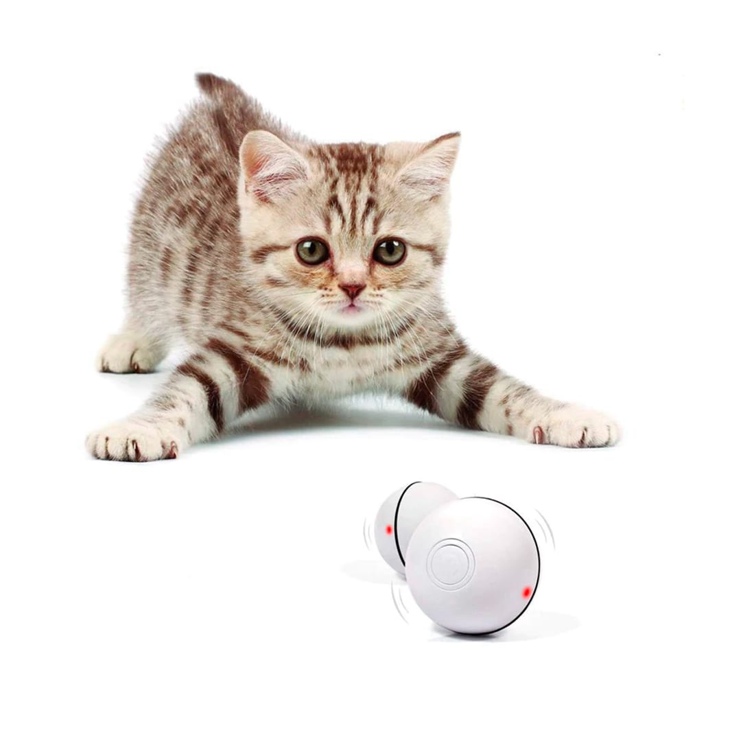 Bola De Juguete Interactiva Para Gatos Automática - Con Sonidos De Gorjeo, Movimiento Aleatorio Y Evitación De Obstáculos, Recargable Por USB