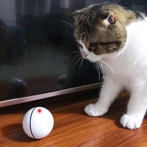 Pelota automática interactiva para gatos con carga USB - Gatufy