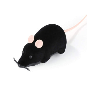 Ratón teledirigido Ratatouille para gatos - Gatufy
