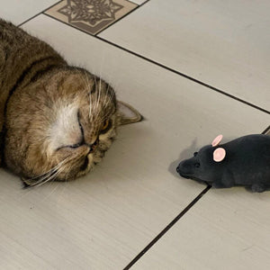 Ratón teledirigido Ratatouille para gatos - Gatufy