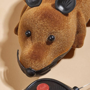 Ratón teledirigido Ratatouille para gatos - Gatufy