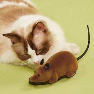 Ratón teledirigido Ratatouille para gatos - Gatufy